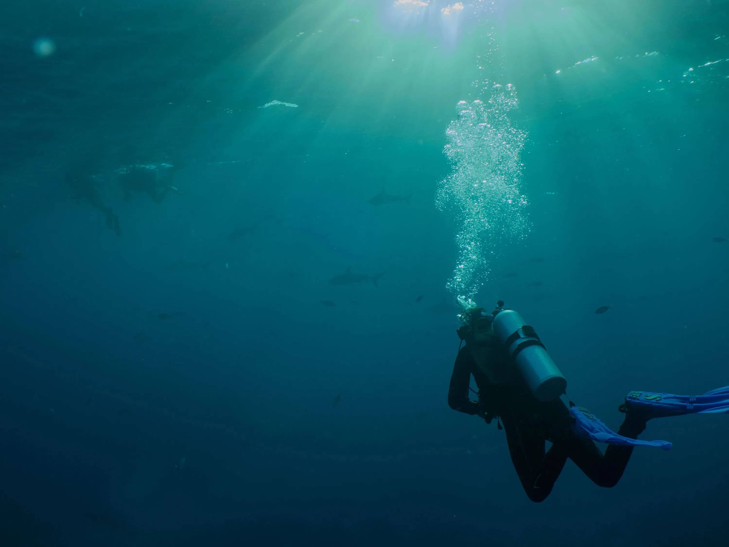 Scuba diver in the blue ocean watching a shark as it approaches